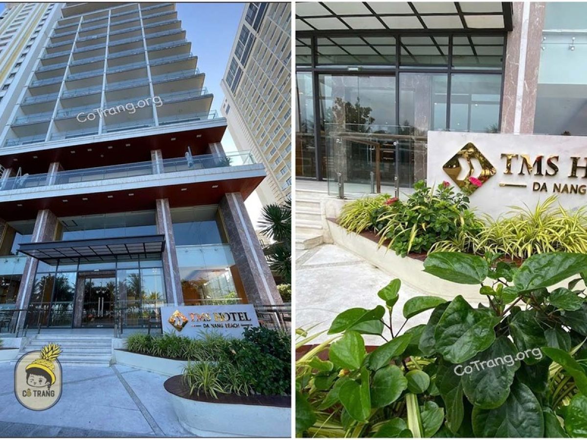 TMS Hotel
