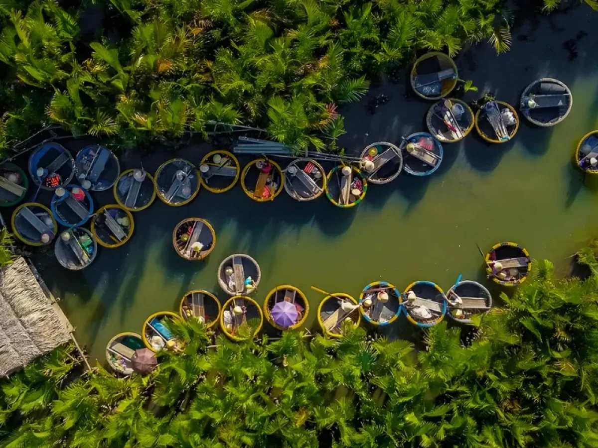 Bay Mau Coconut Forest view