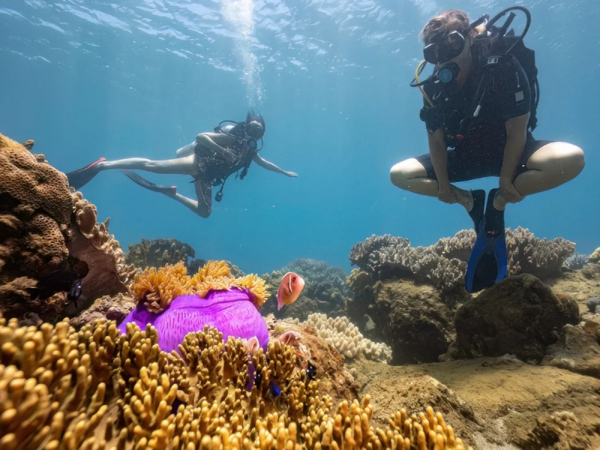 Explore Cham Island snorkeling tours