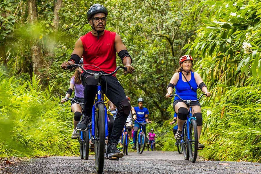 Hoi An Countryside Bike Tour - 1 Day