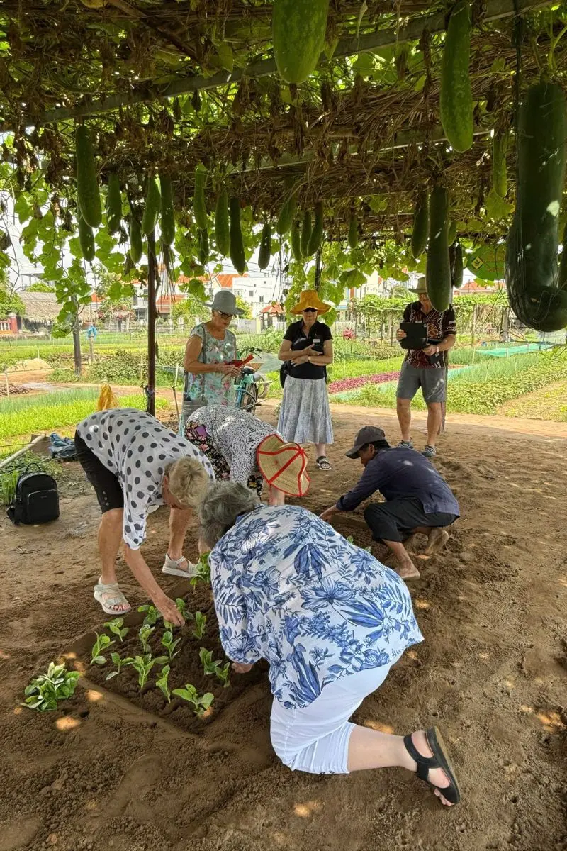 Tourists planting vegetables with local farmers in Tra Que village experience from da nang tours