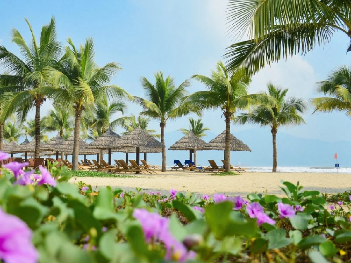 Blue Wellness Vietnam in My Khe Beach 