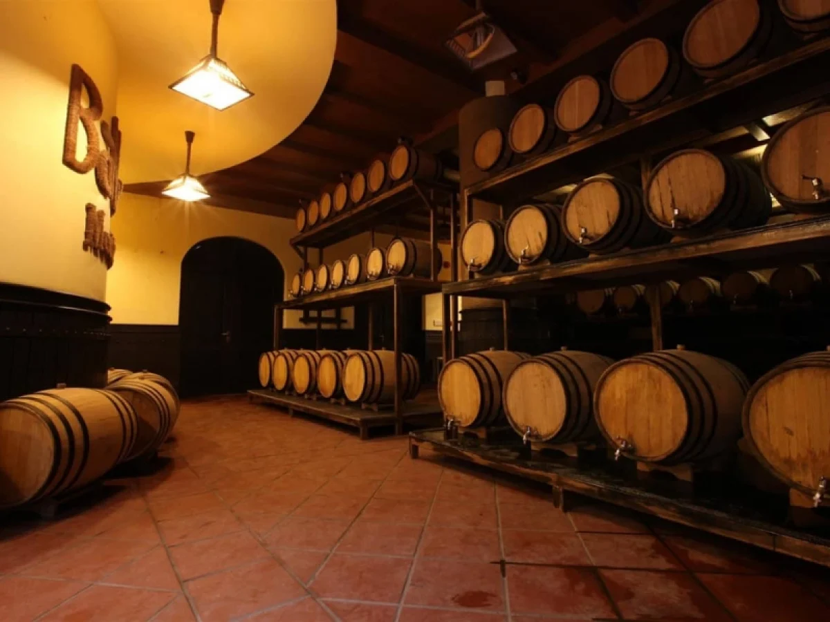 Explore the secrets of wine cellar Debay