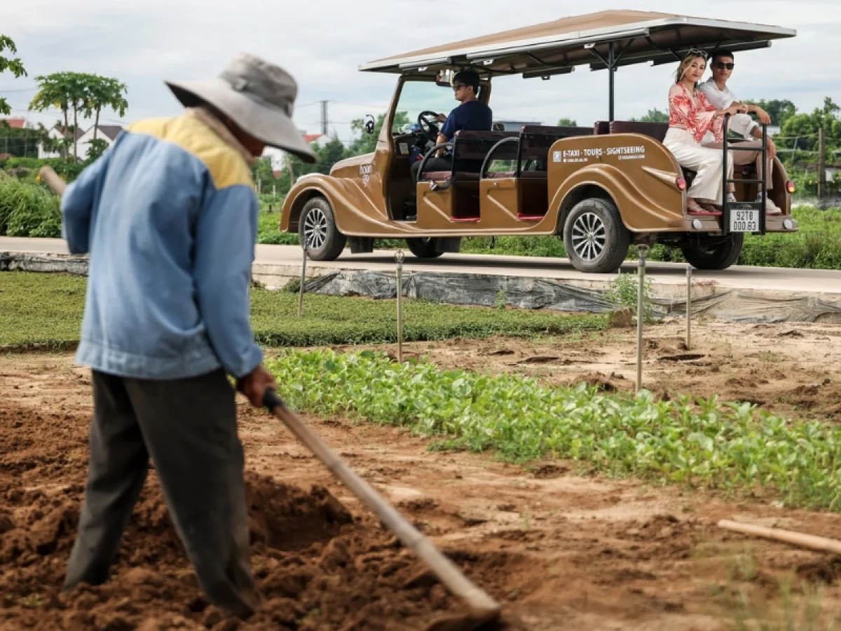 explore organic agriculture Da Nang